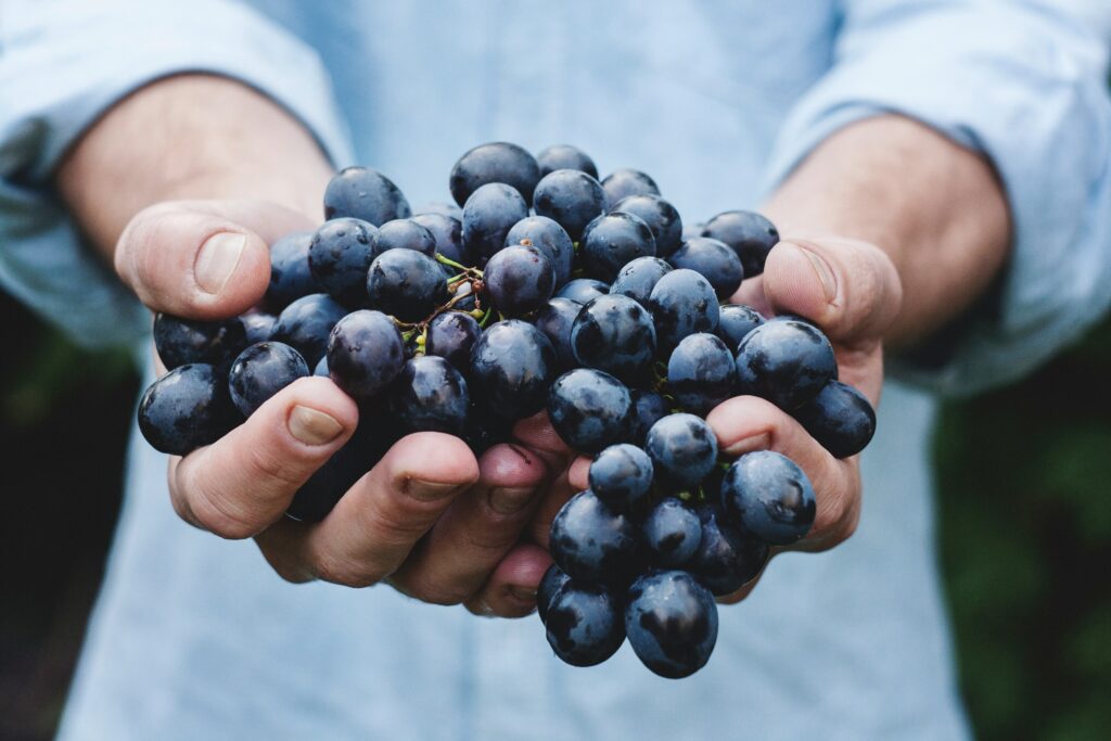 E4. Turisme Enogastronòmic i Producte Local