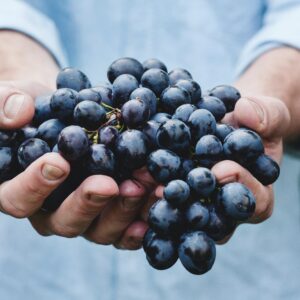 E4. Turisme Enogastronòmic i Producte Local