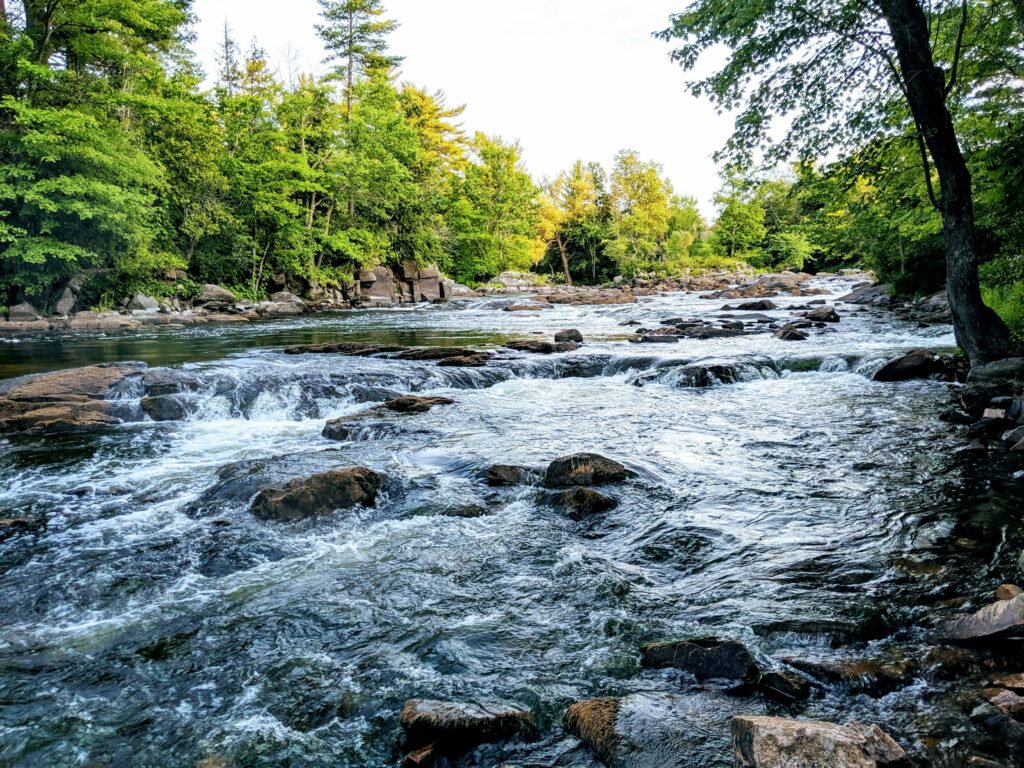 E3. Biodiversitat, Conservació i Turisme
