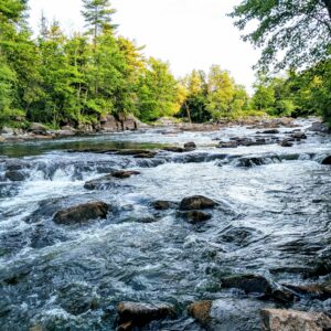 E3. Biodiversitat, Conservació i Turisme