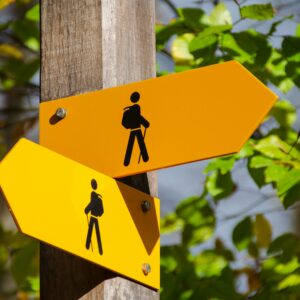 T1. Orientació Laboral i Itineraris d’Emprenedoria Social